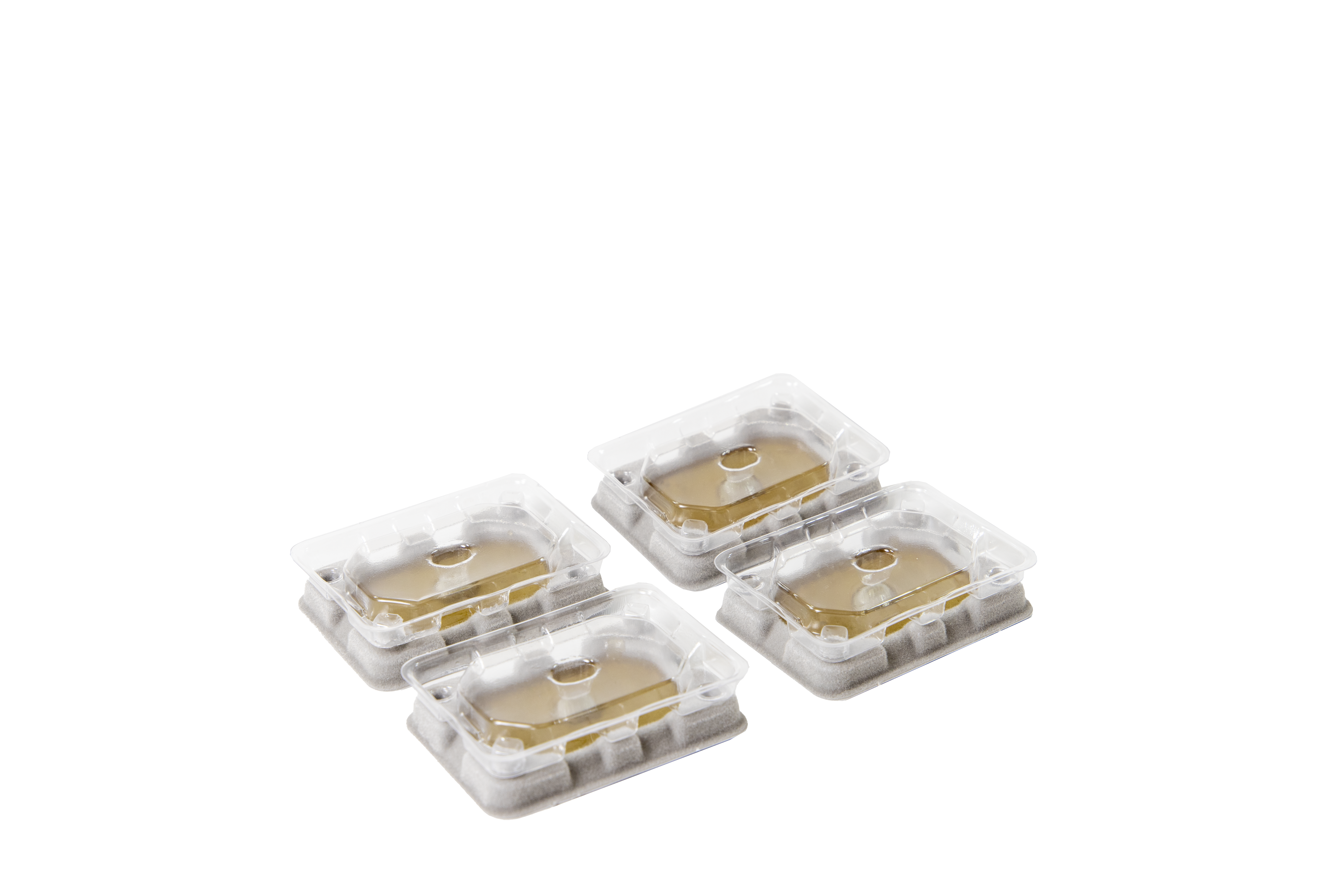 Bedbug Slider Monitor PCO (x96)