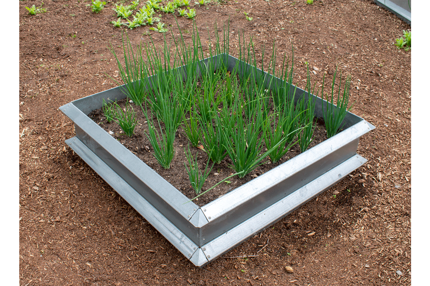 Højbede 1*1m, hovedmodul