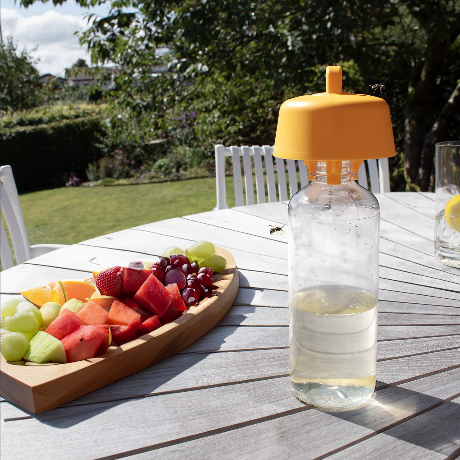 SafeTrap Hvepsefælde Trapcap komplet