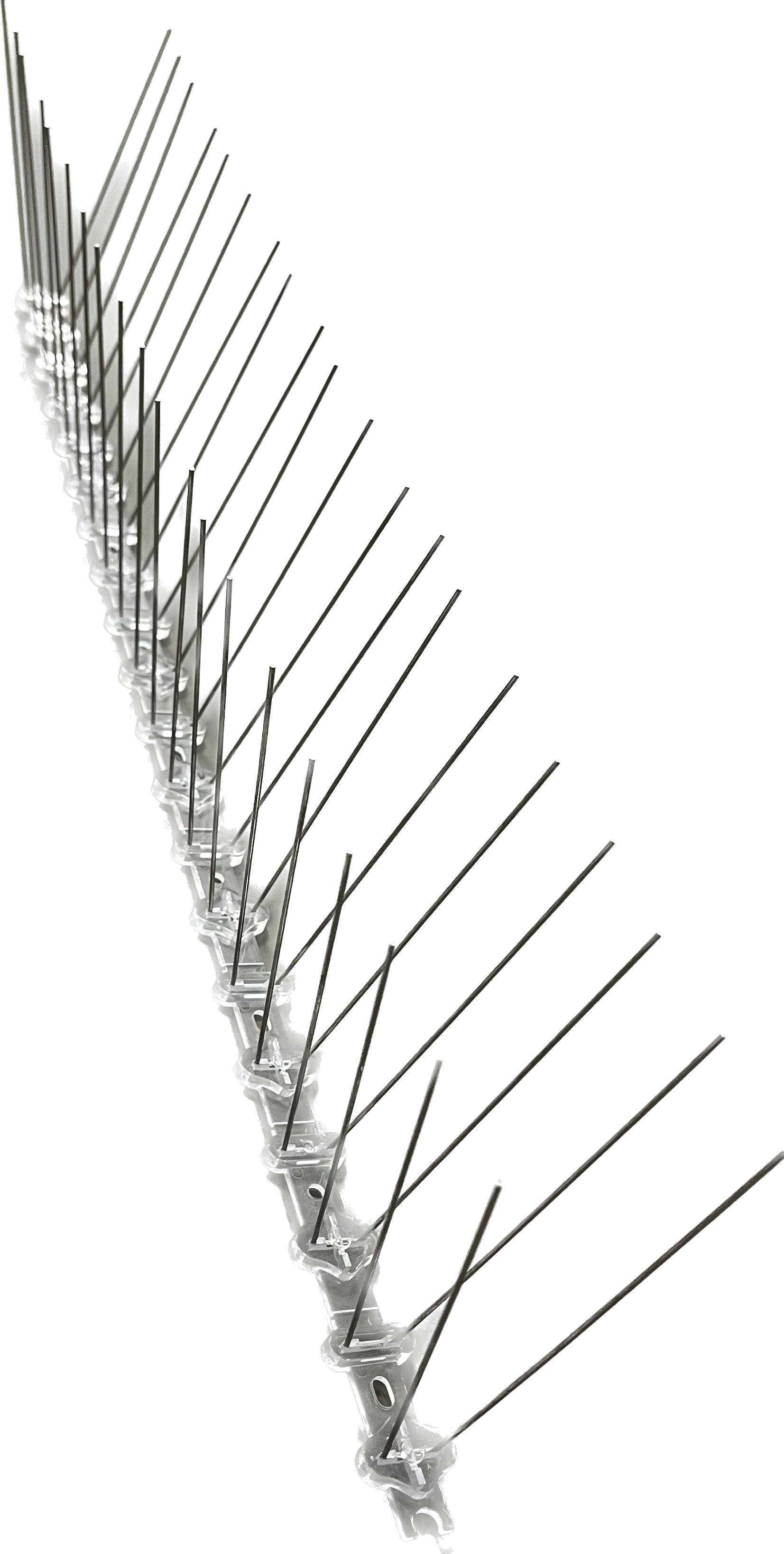 Mågepigge - 50 cm lang - 15 cm høj