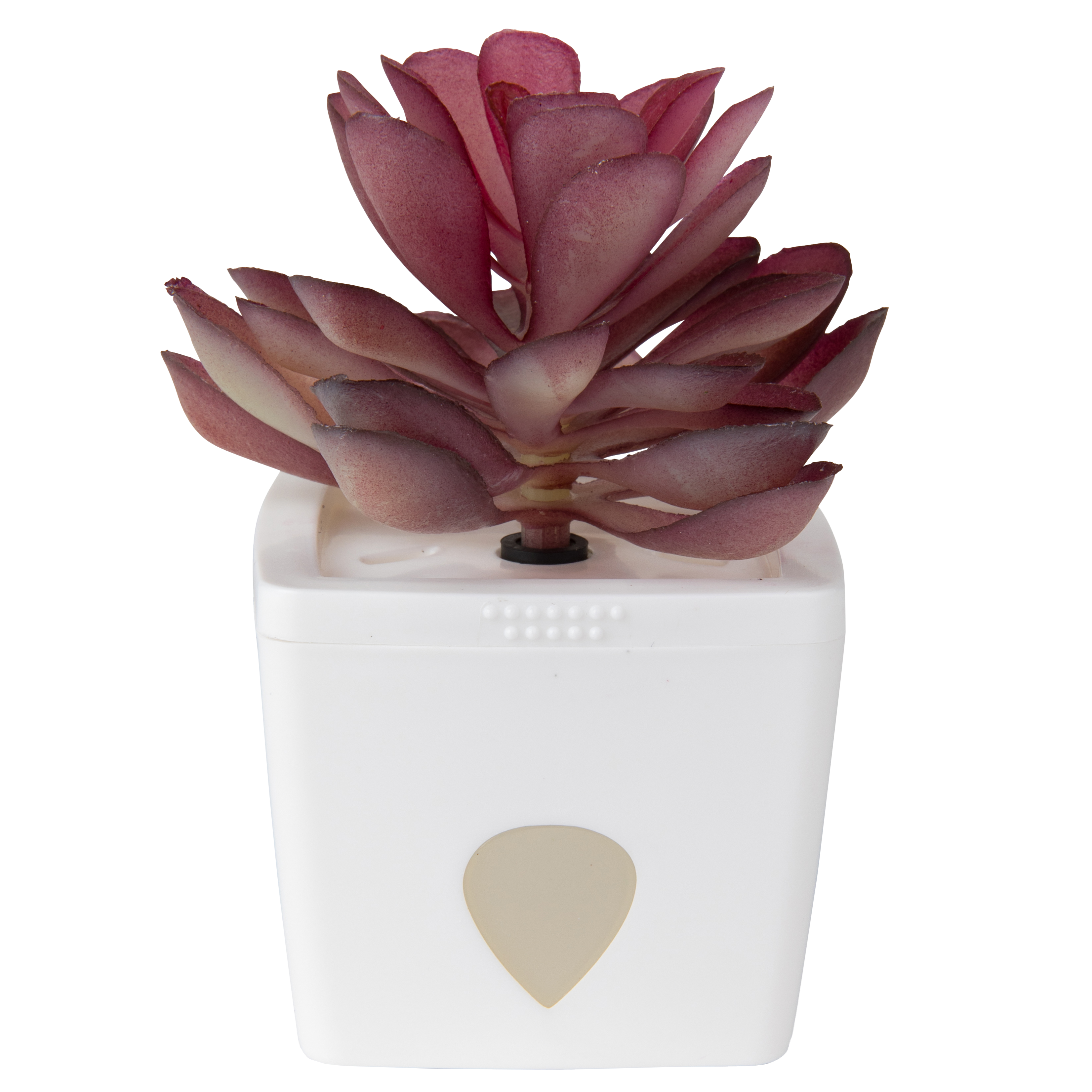 ZendoZones® Fruchtfliegenfalle, Mellow Molly, weiß