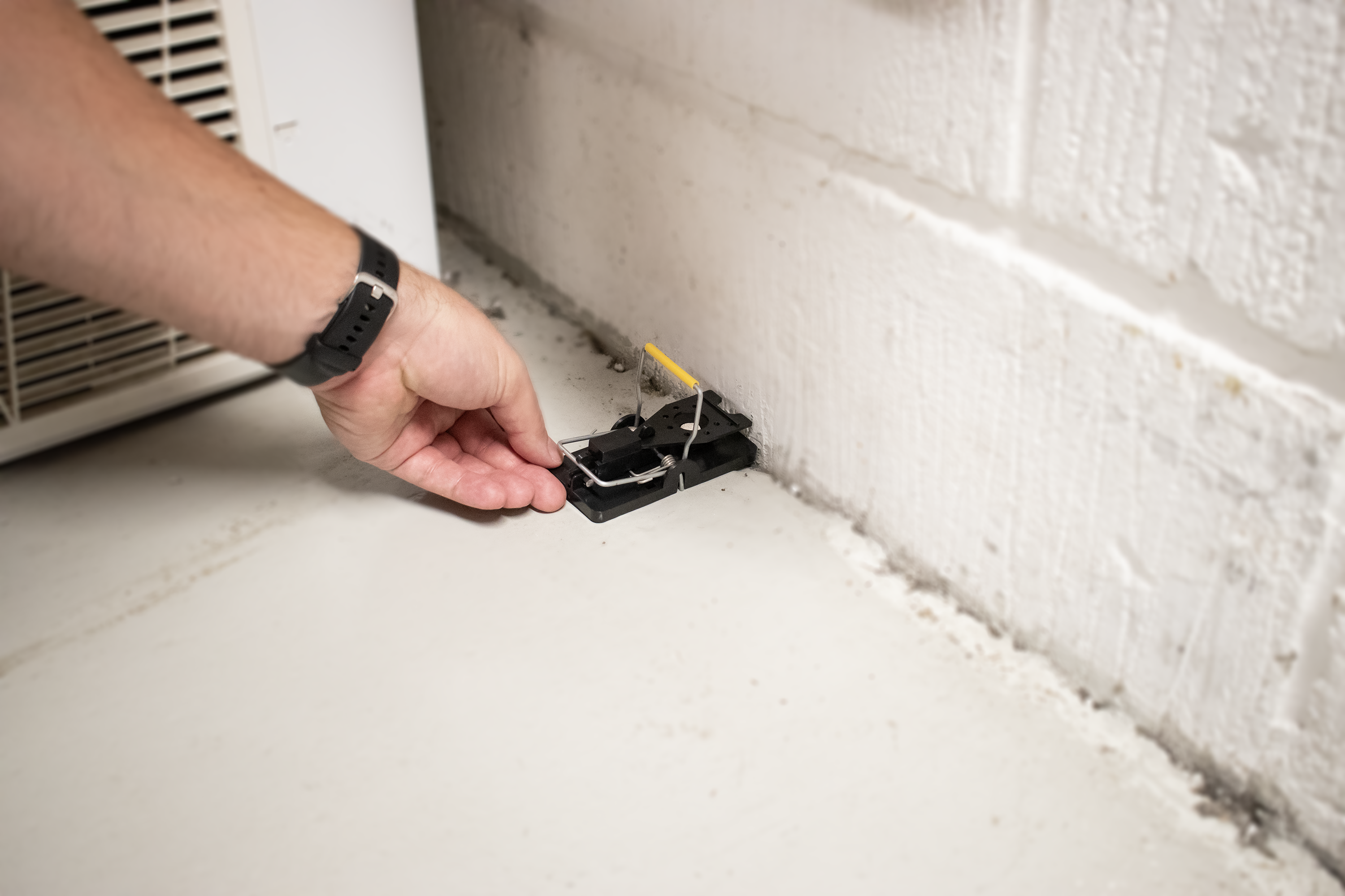 SafeTrap Gnaver Tablet PRO (x12) Mod rotter og mus