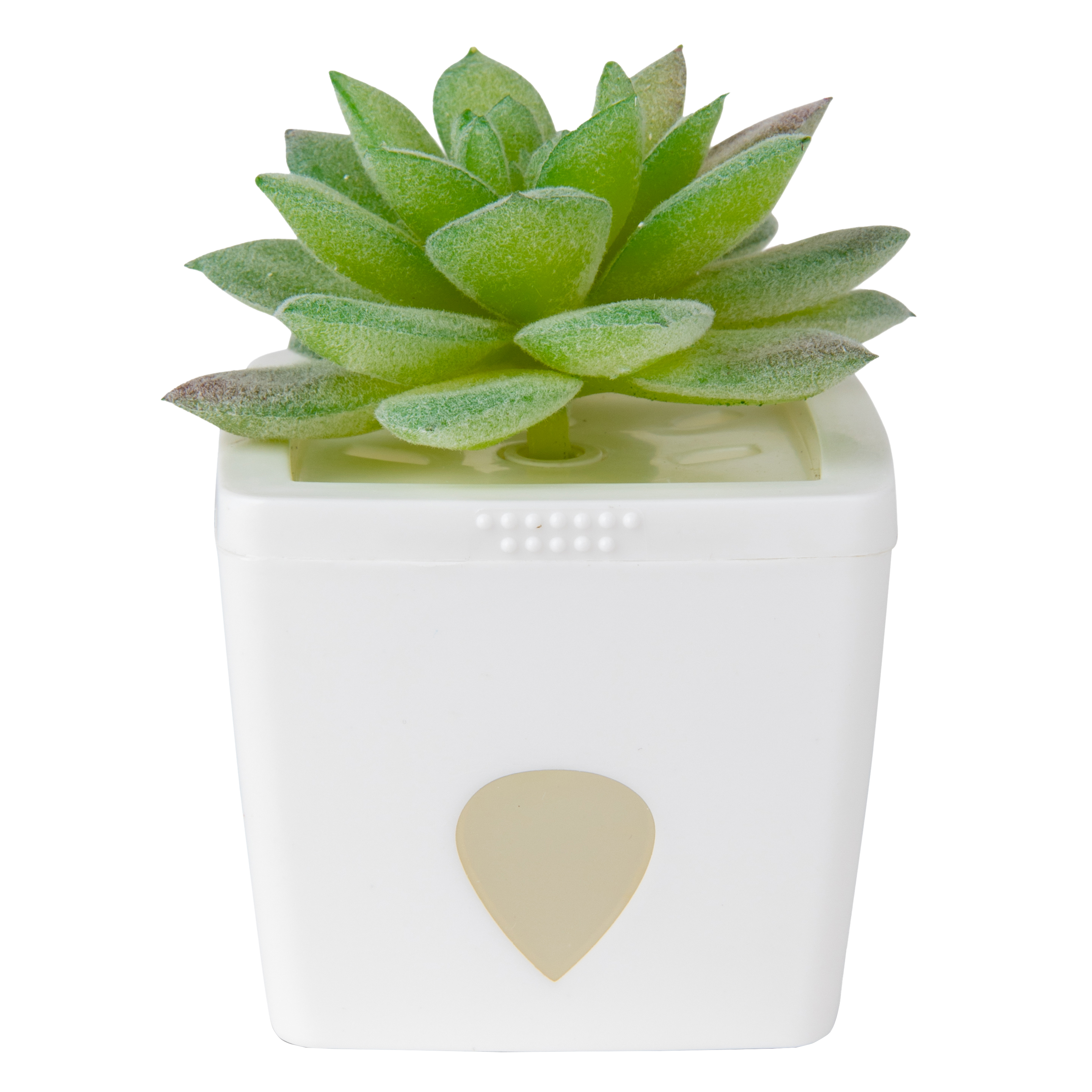 ZendoZones® Bananfluefælde, Tranquil Tabitha, hvid