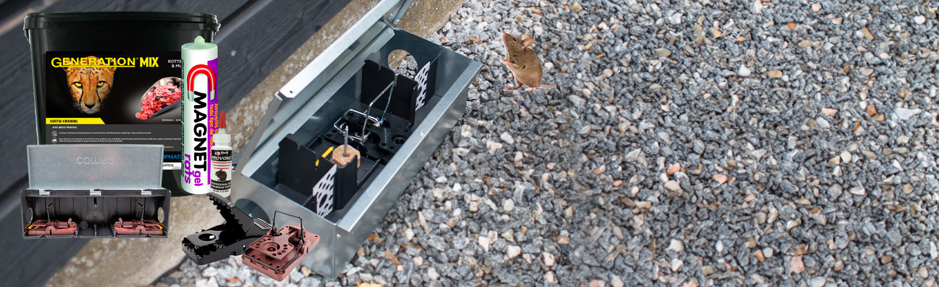 1920x587_mus_rotter_(1)